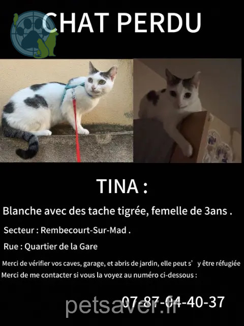 chatte reunited   54470 Rembercourt-sur-Mad Tina