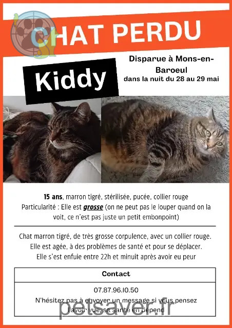 chatte reunited   59370 Mons-en-Barœul Kiddy