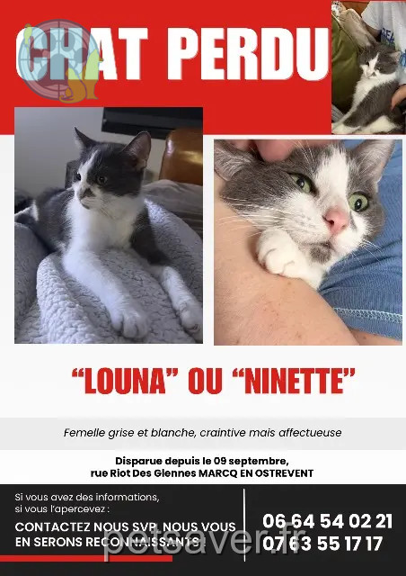 gata reunited 59252 Marcq-en-Ostrevent Louna