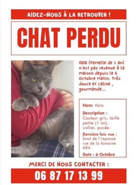 chatte reunited   59234 Fressain Vaïa