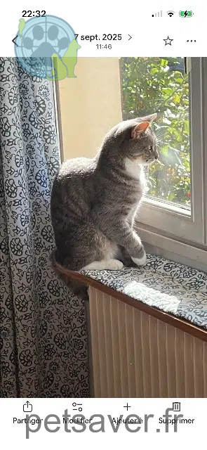 chatte reunited 62480 Le Portel Sockette