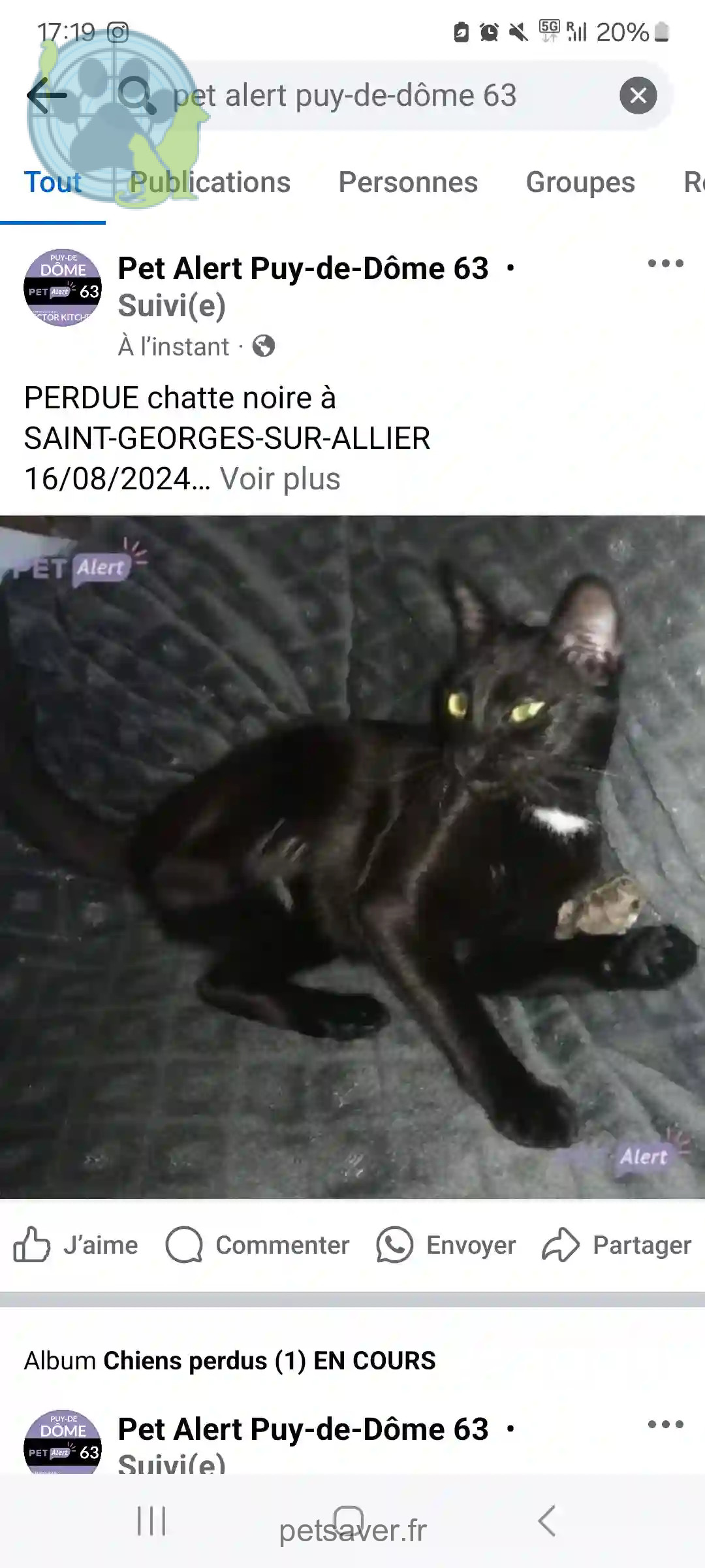Chatte Trouvée 63 Puy-de-Dôme - Baghera Chatte Trouvée 63 Puy-de-Dôme - Baghera