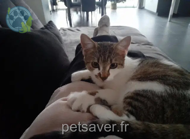 gatta reunited    Bennwihr April