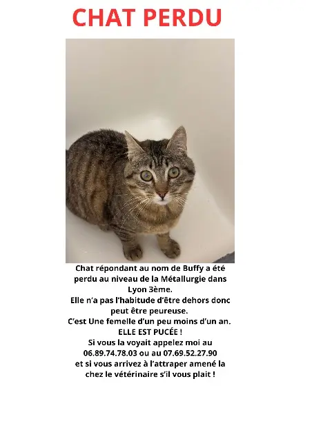 chatte reunited    Lyon Buffy