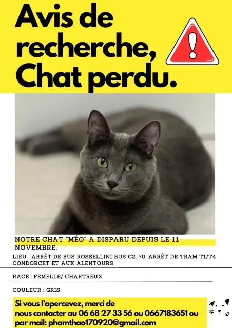 chatte reunited   69100 Villeurbanne Méo