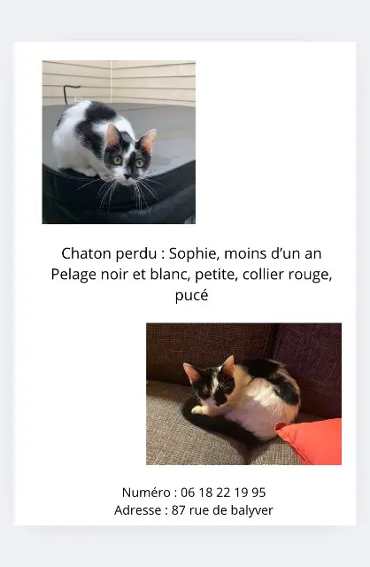 chatte reunited    Le Mans Sophie