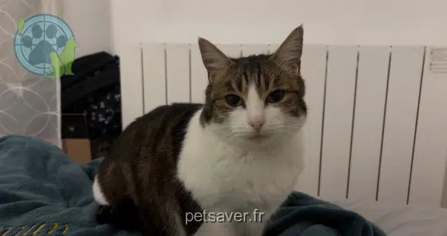 chatte reunited Le Mans Eira