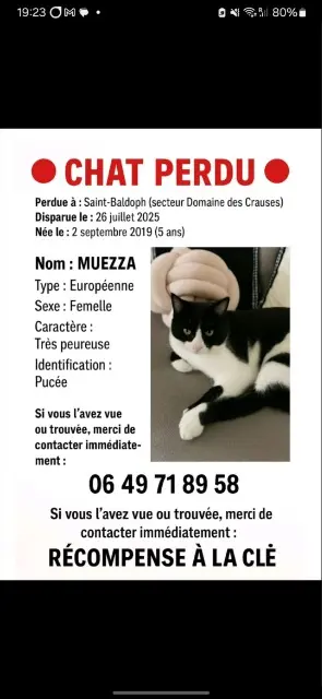 chatte reunited   73190 Saint-Baldoph Khenfar