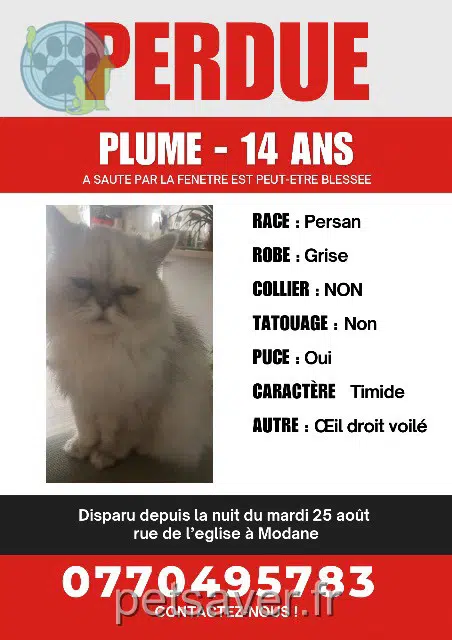 chatte reunited 73500 Modane Plume