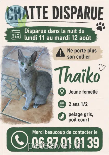 chatte reunited 73360 Les Échelles Thaïko