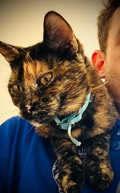 chatte reunited    Paris Justice