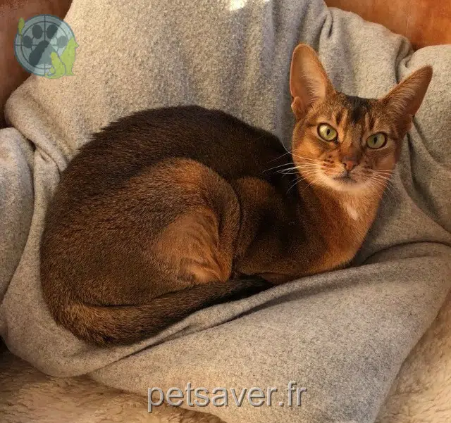 chatte reunited Paris Matka