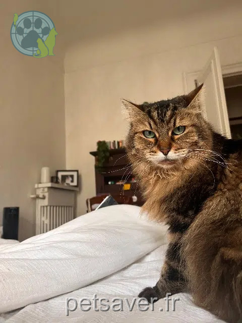 chatte reunited    Paris Naïa