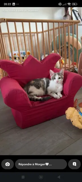 chatte reunited   76750 Bierville Alaska