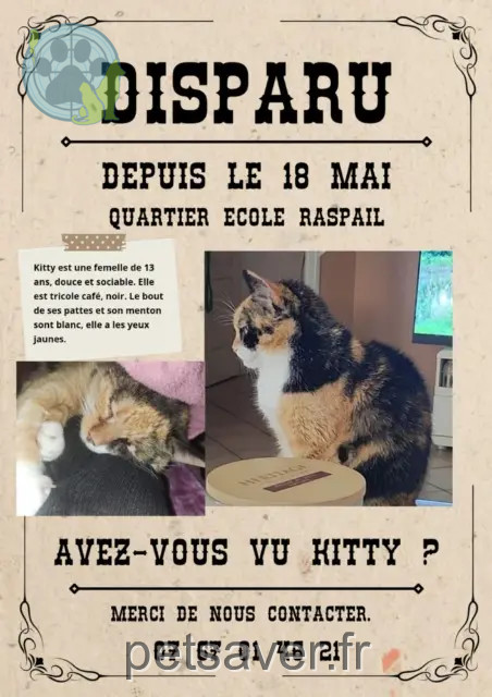 chatte reunited 76300 Sotteville-lès-Rouen Kitty