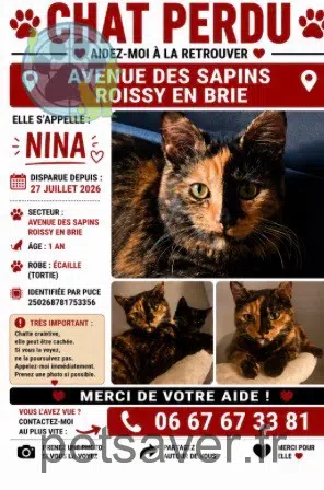 chatte reunited 77680 Roissy-en-Brie Nina