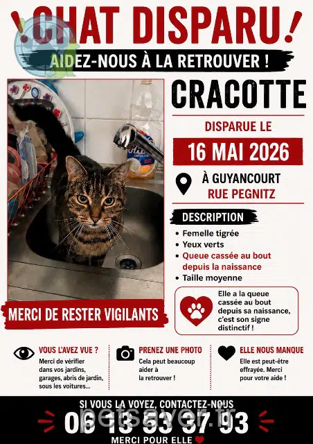 chatte reunited   78280 Guyancourt Cracotte
