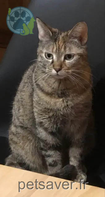 kat reunited   78125 Hermeray Minette