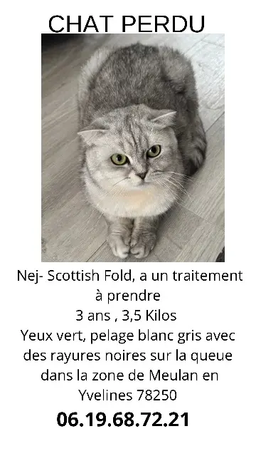 chatte reunited   78250 Meulan-en-Yvelines Nej