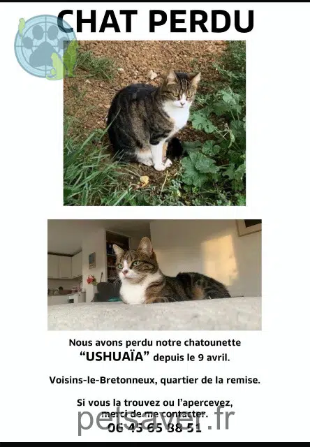 chatte reunited   78960 Voisins-le-Bretonneux Ushuaia