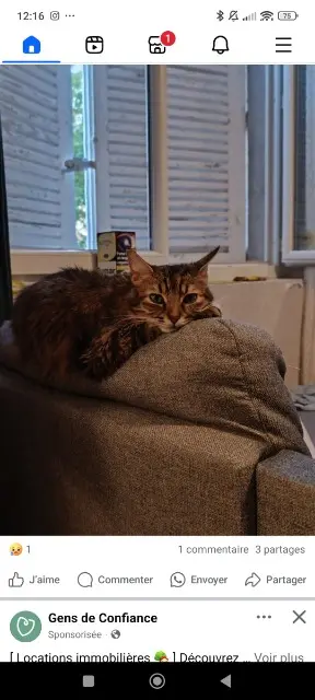 chatte reunited   81100 Castres Ebi