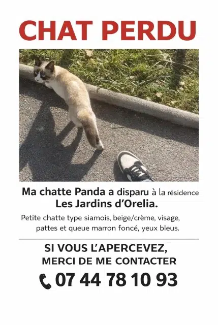 chatte reunited    Fréjus Panda
