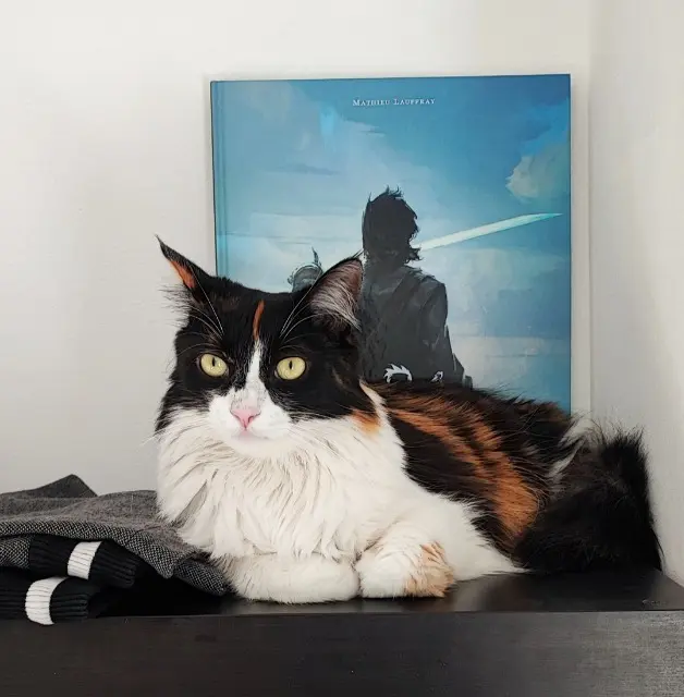 chatte reunited   83390 Cuers Zelda