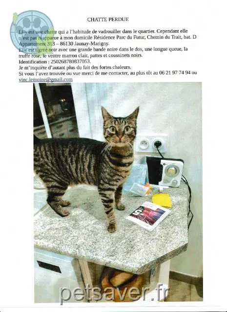 chatte reunited    Jaunay-Marigny Lily