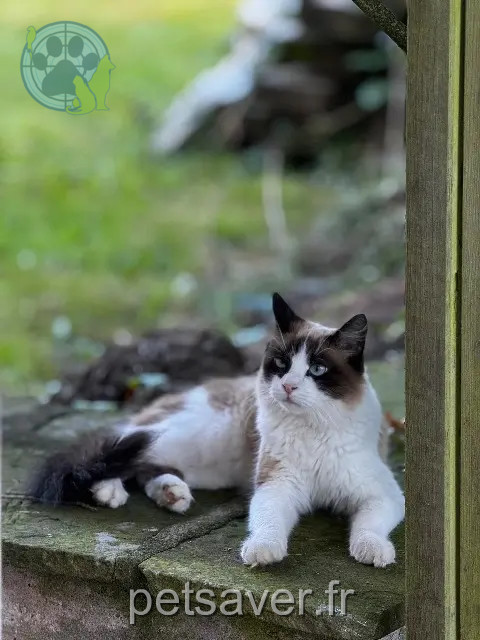 chatte reunited 88380 Arches Bounty