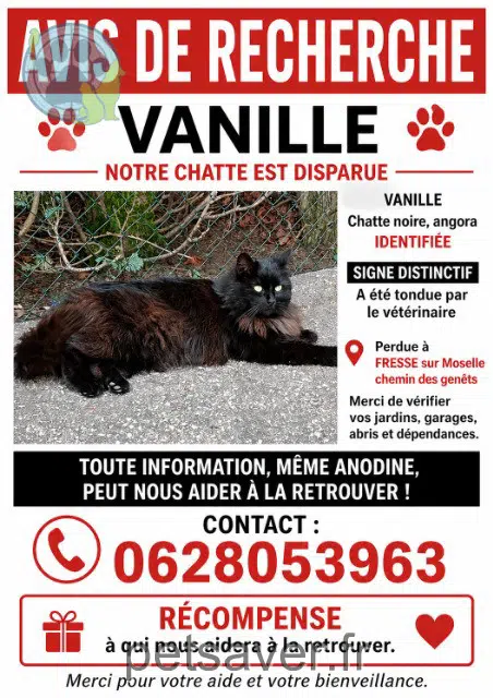 gata reunited 88160 Fresse-sur-Moselle Vanille