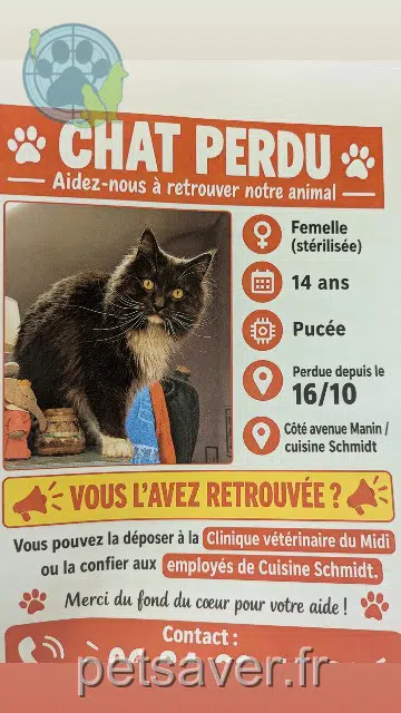 chatte reunited 92160 Antony Honoka