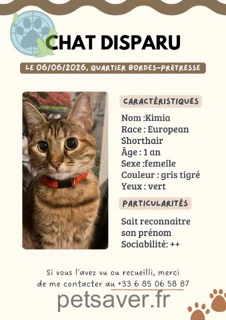 gatta reunited   93240 Stains Kimia