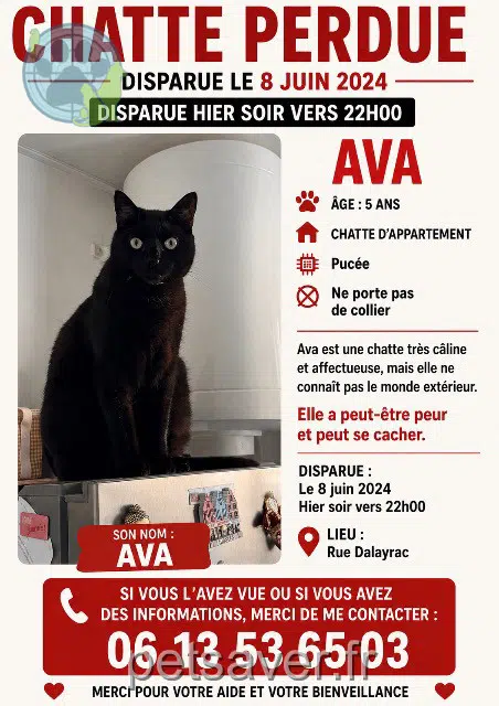 chatte reunited   94120 Fontenay-sous-Bois Ava