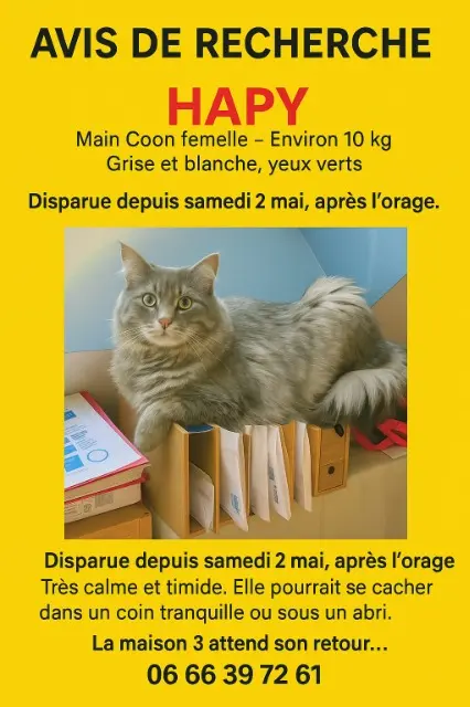 chatte reunited    Saint-Maur-des-Fossés Hâpy