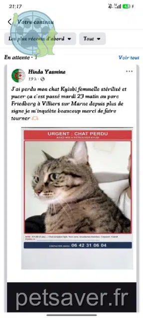 chatte reunited   94350 Villiers-sur-Marne Kyiubi