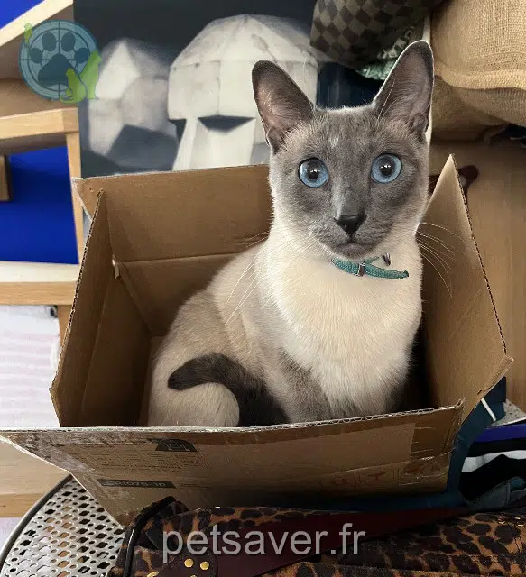 kat reunited 94110 Arcueil Samedi