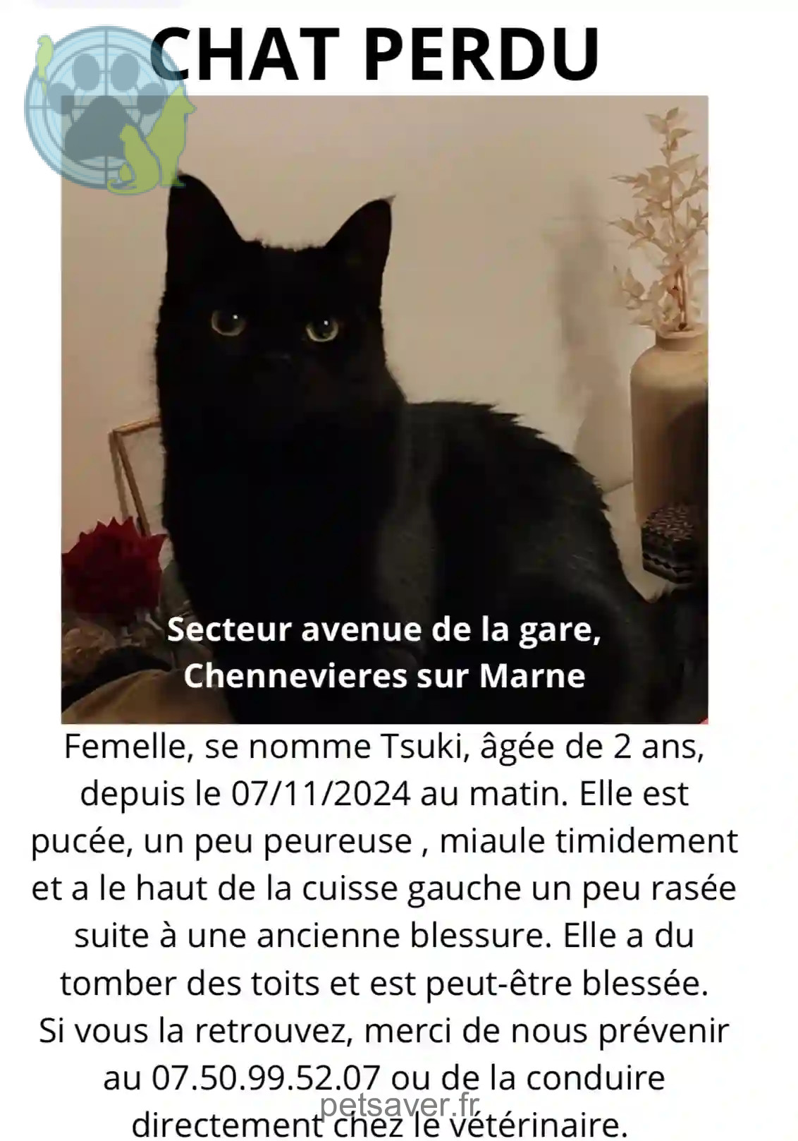 Chatte Perdue 94 Val-de-Marne - Tsuki Chatte Perdue 94 Val-de-Marne - Tsuki