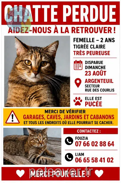 chatte reunited 95100 Argenteuil Yumi