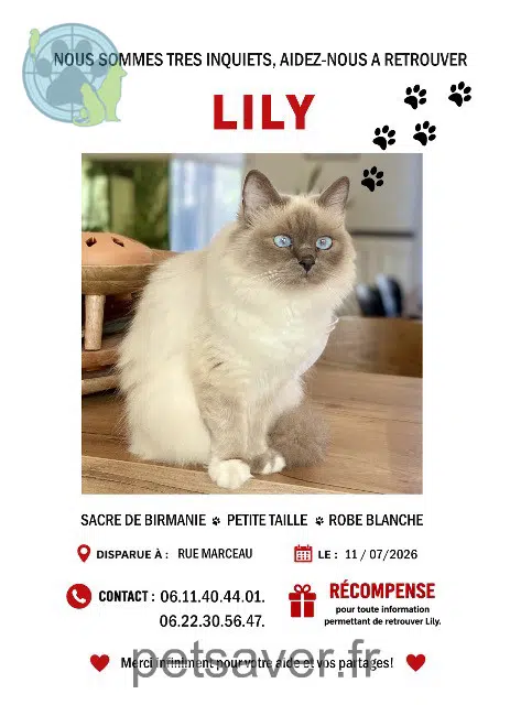 gata reunited Le Havre Lily