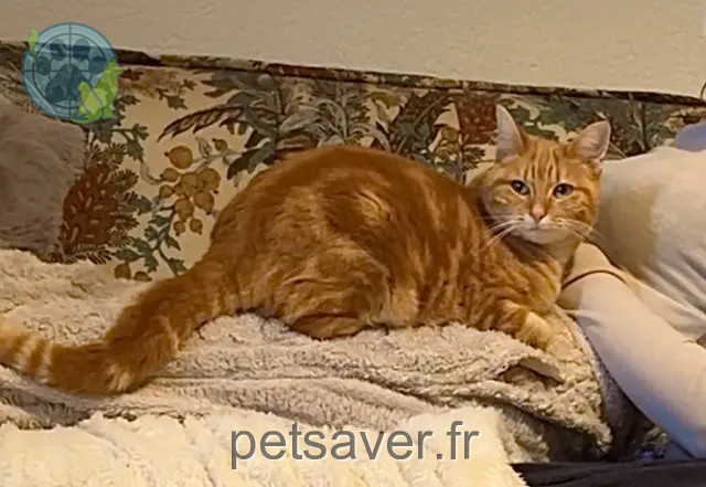 gata reunited 1844 Villeneuve (VD) Nala