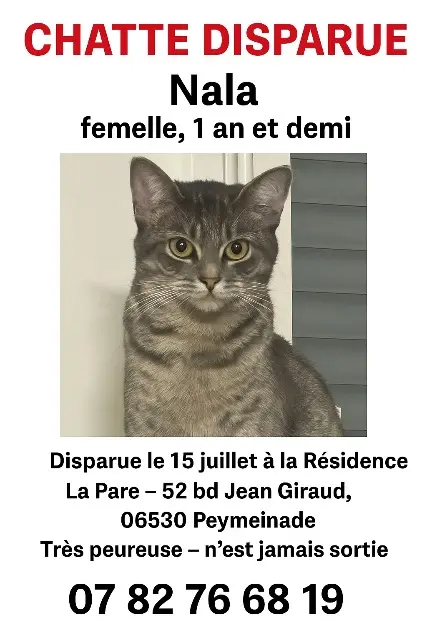 chatte found   06530 Peymeinade Nala