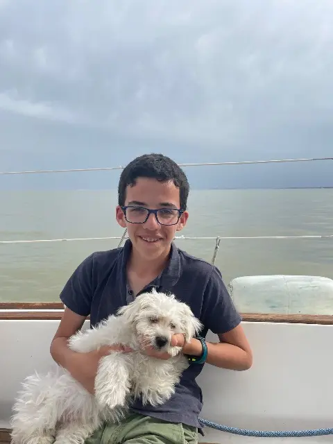 chien lost   17200 Royan Clifton