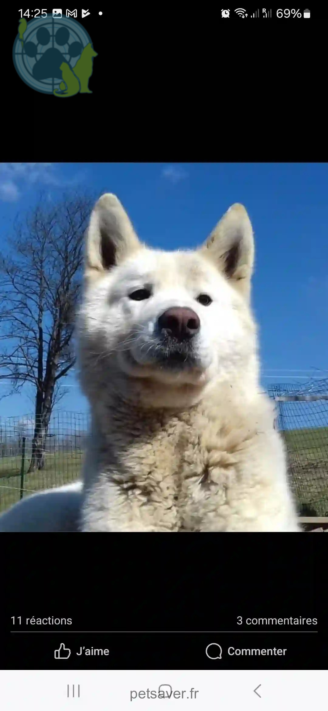 Chien Perdu 25 Doubs - Max Chien Perdu 25 Doubs - Max