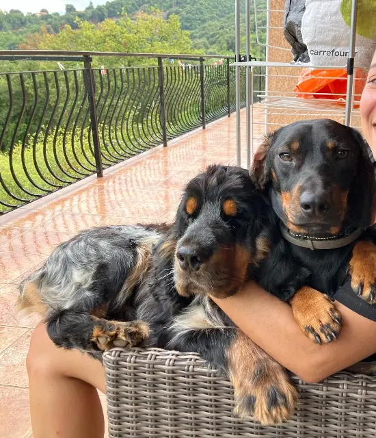 chien lost   20160 Vico Titouetsnoopy