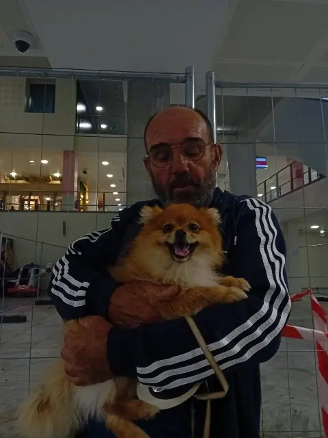 chien lost   31340 Villematier Winny