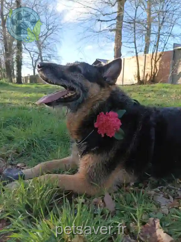 33 Gironde - Rakoon 33 Gironde - Rakoon