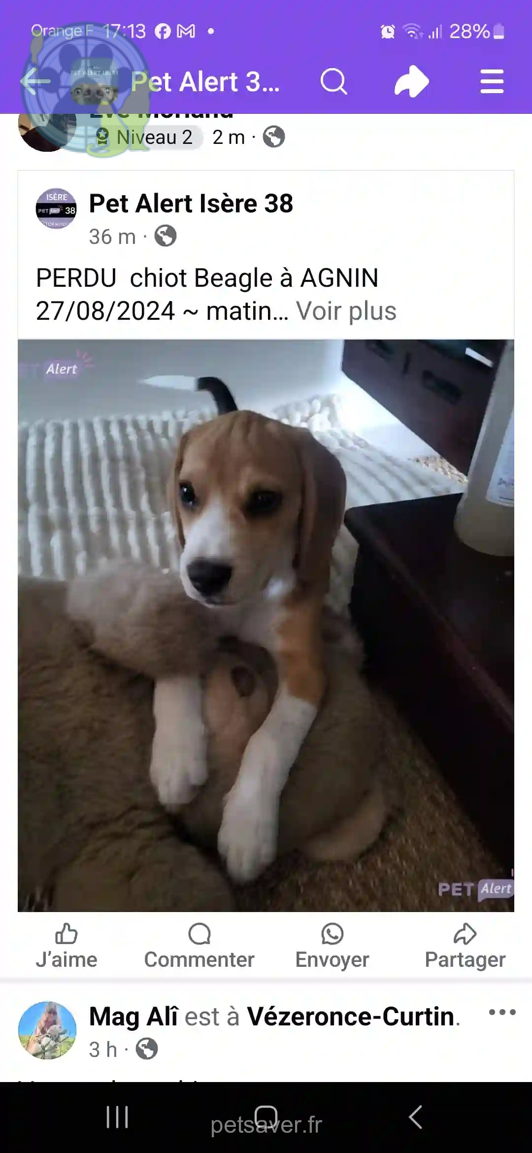 Chien Perdu 38 Isère - Vao Chien Perdu 38 Isère - Vao