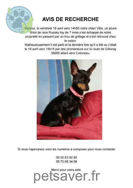 dog lost 38260 Gillonnay Vitto dog lost 38260 Gillonnay Vitto