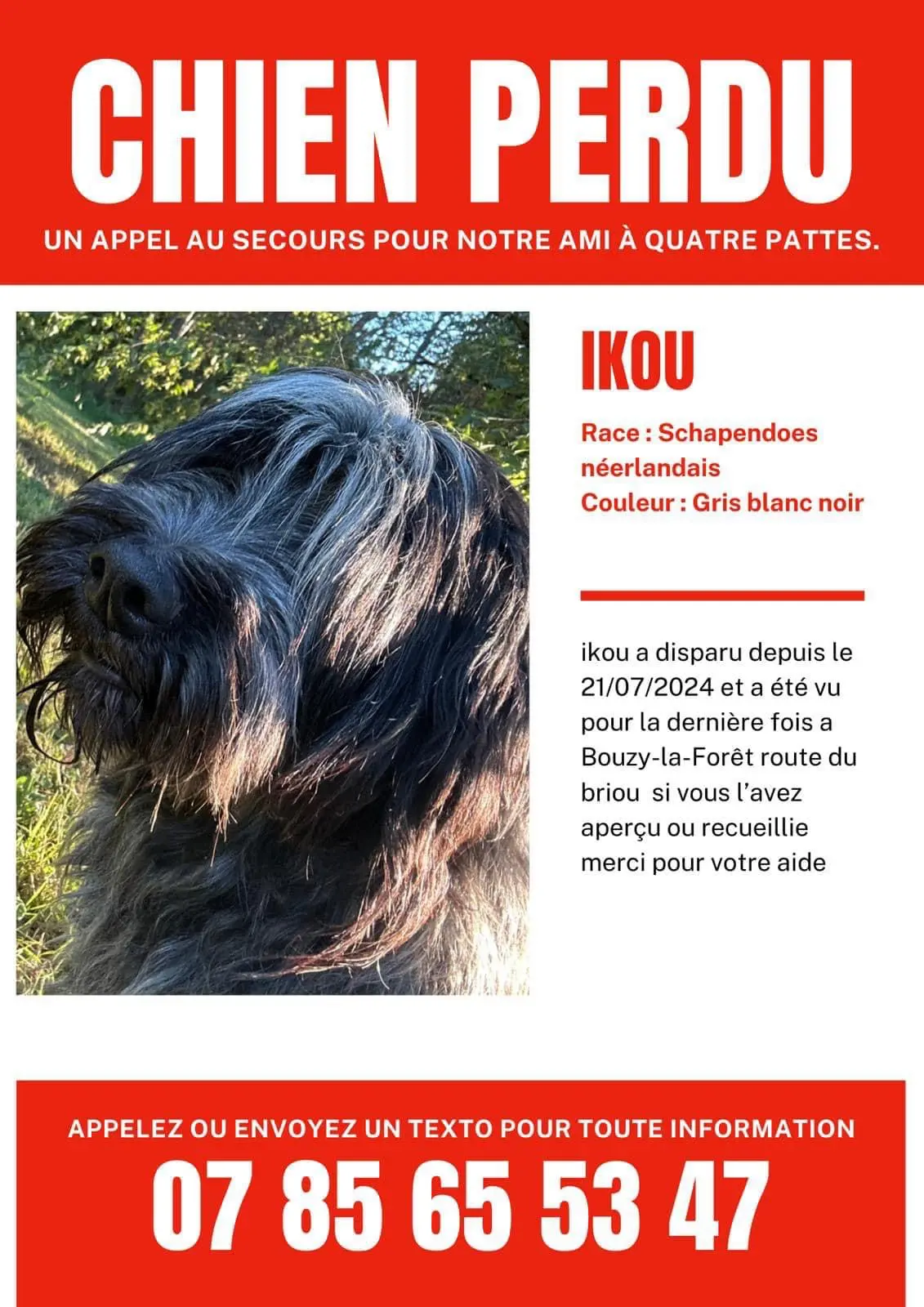 Chien Perdu 45 Loiret - Ïkou Chien Perdu 45 Loiret - Ïkou