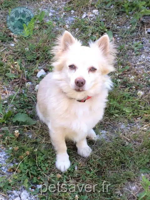 cane lost   47290 Monbahus Sky